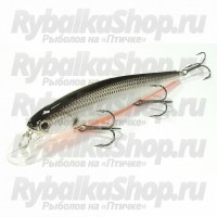 Slender Pointer 112 007